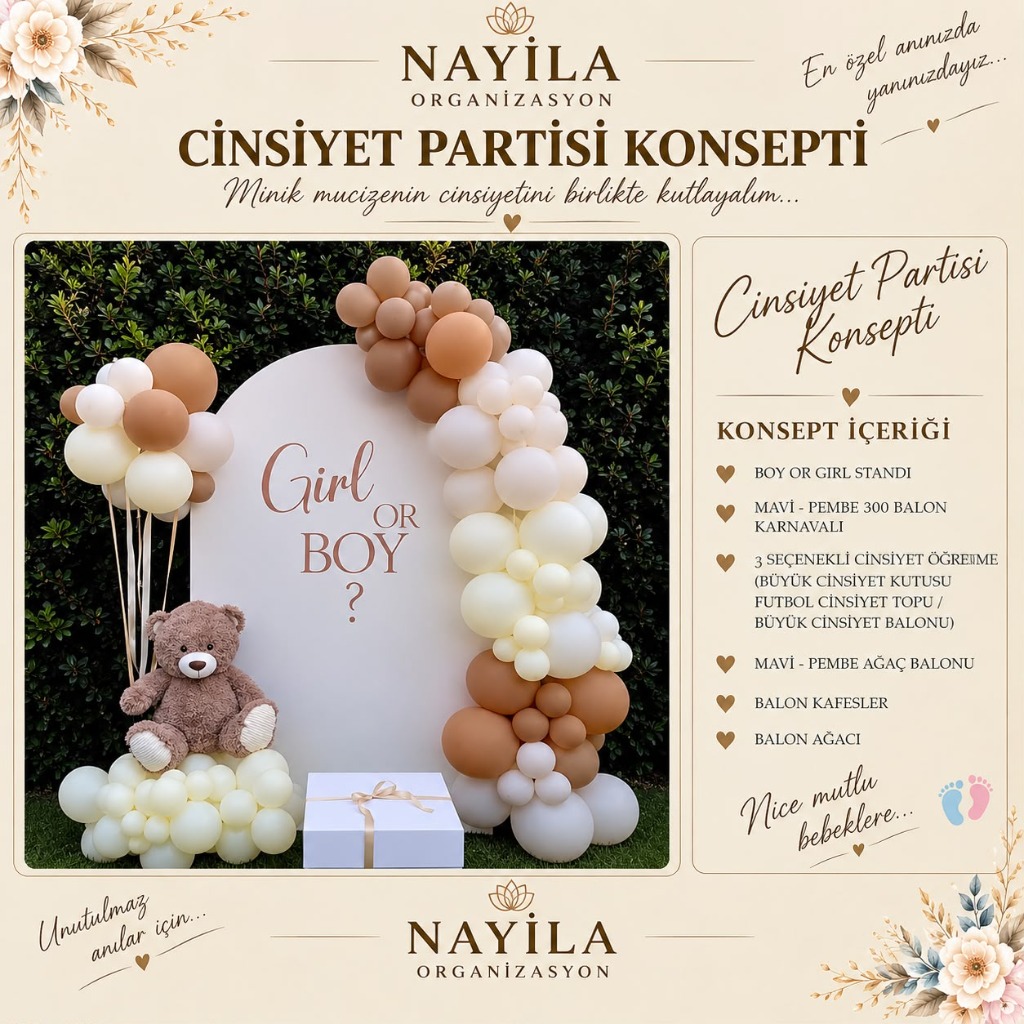 Cinsiyet Partisi Konsepti